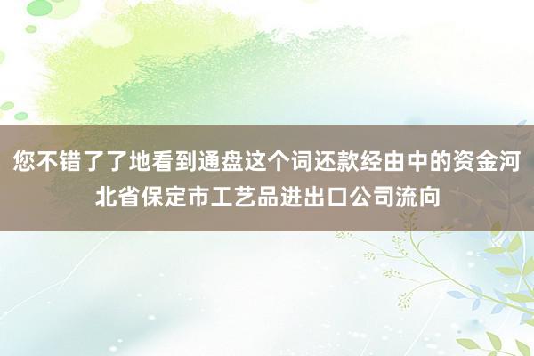 您不错了了地看到通盘这个词还款经由中的资金河北省保定市工艺品进出口公司流向