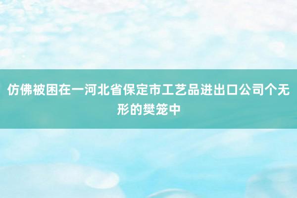 仿佛被困在一河北省保定市工艺品进出口公司个无形的樊笼中
